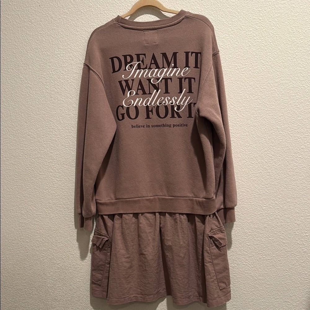 Zara Dreamy Brown Sweatshirt Dress